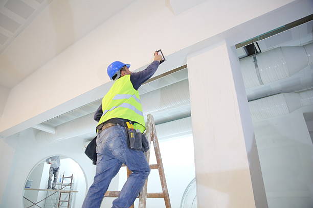 Biohazard Mold Removal in Wallis, TX
